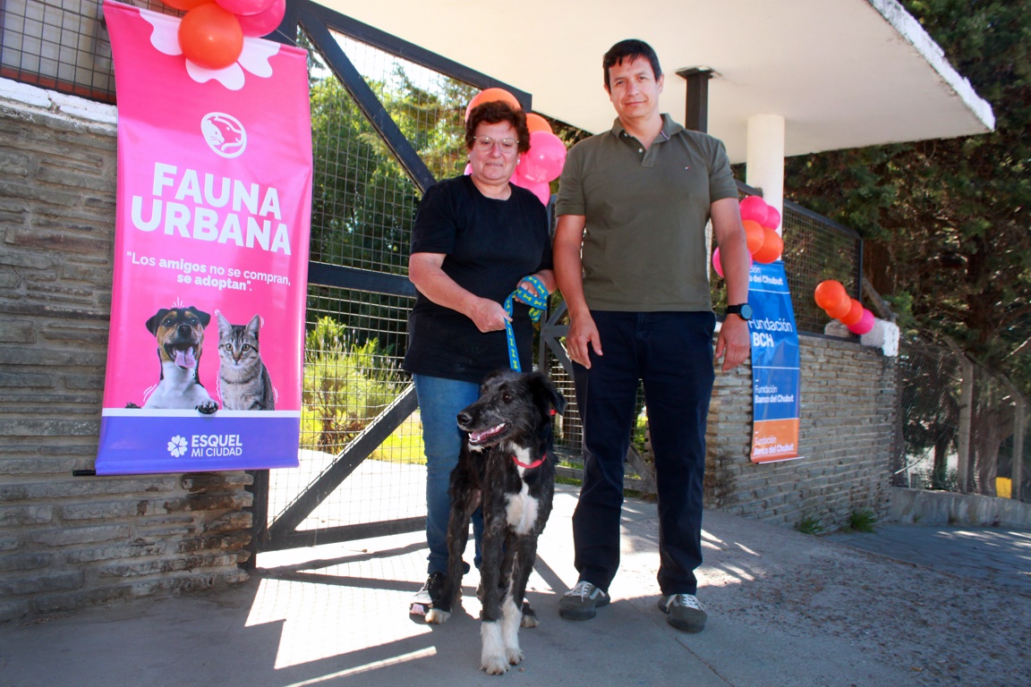 "Castración, vacunación y adopción de mascotas en Esquel"