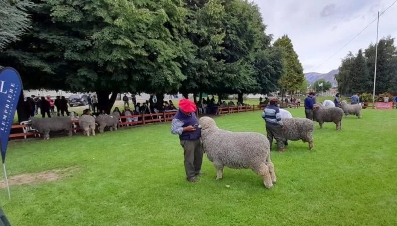 Comienza la 99º Exposición Ovina de la Sociedad Rural Esquel