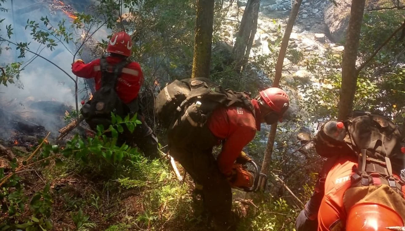 Brigadistas combatiendo un incendio forestal en Epuyén, con humo y vegetación quemada en el fondo